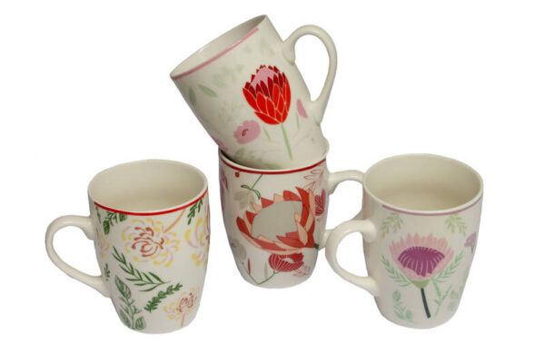 4 pack cederberg mugs