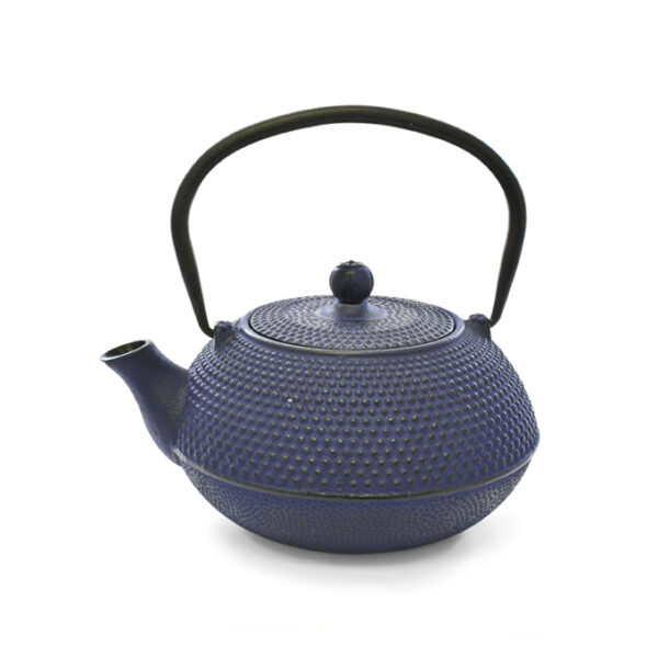 blue cast iron tea infuser (tetsubin) - 600ml
